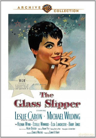 Glass Slipper [DVD]