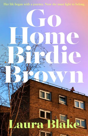Go Home Birdie Brown Hb [KSIĄŻKA]