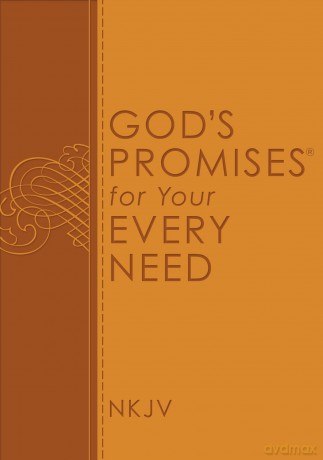 Gods Promises For Your Ev Hb [KSIĄŻKA]
