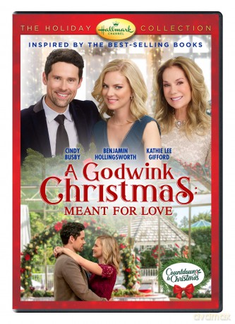 Godwink Christmas: Meant For Love, A [DVD]