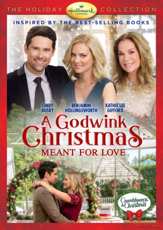Godwink Christmas: Meant For Love, A [DVD]