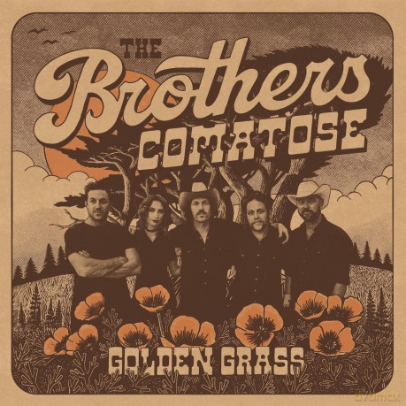 Brothers Comatose: Golden Grass [CD]
