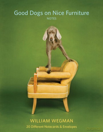 Good Dogs on Nice Furniture Notes [KSIĄŻKA]