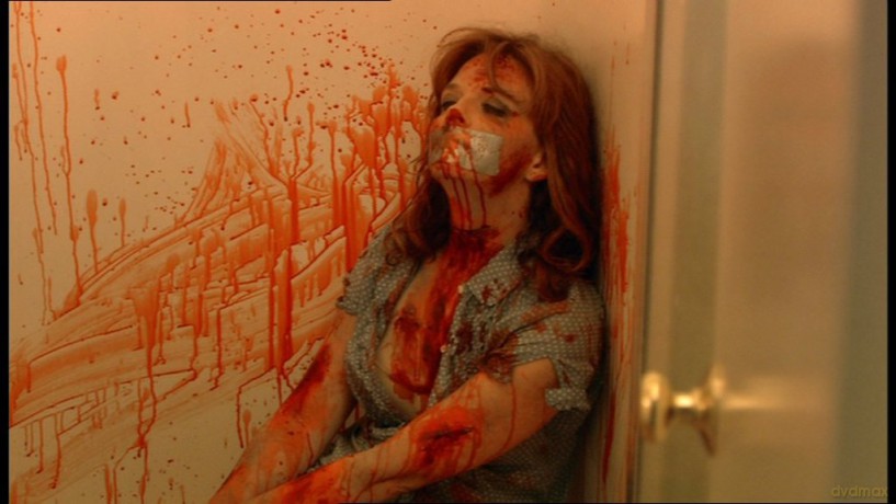 Gore Terror-A Diary Of A Serial Killer [DVD]