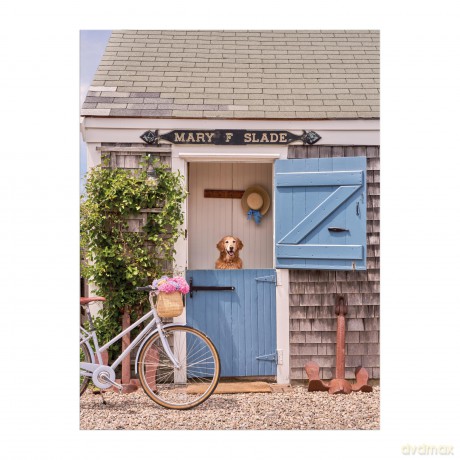 Gray Malin Nantucket 1000 Piece Book Box Puzzle [KSIĄŻKA]