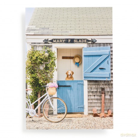 Gray Malin Nantucket 1000 Piece Book Box Puzzle [KSIĄŻKA]