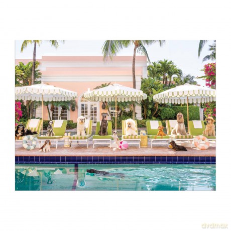 Gray Malin Palm Beach 1000 Piece Book Box Puzzle [KSIĄŻKA]
