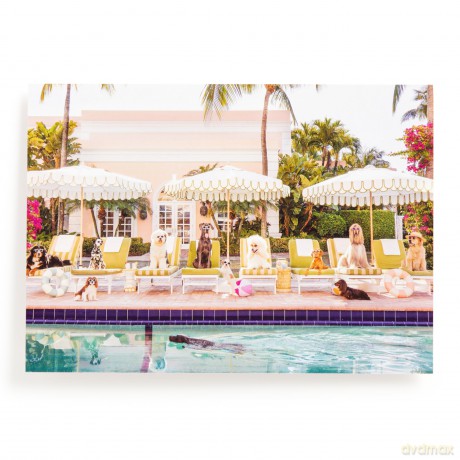 Gray Malin Palm Beach 1000 Piece Book Box Puzzle [KSIĄŻKA]