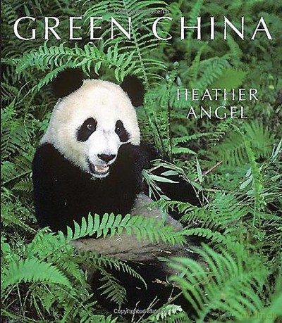 Green China [KSIĄŻKA]