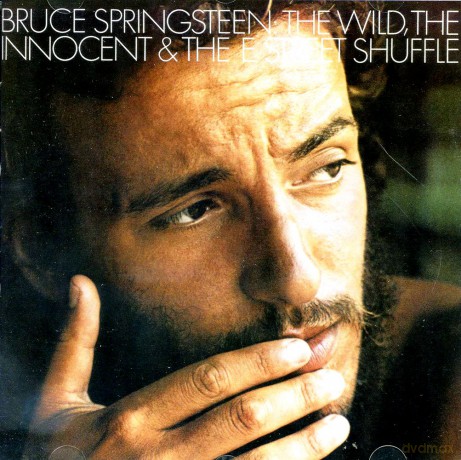Bruce Springsteen: The Wild, The Innocent And The E Street Shuffle [CD]