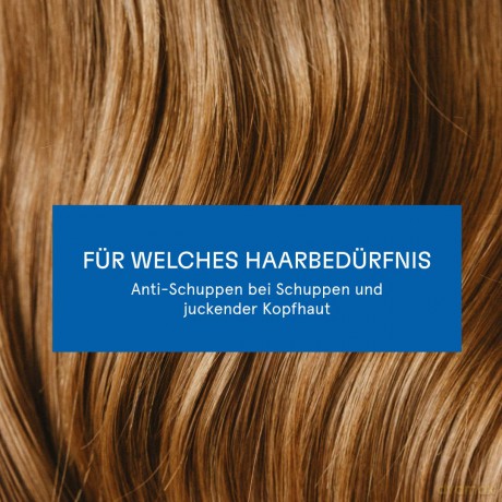 GUHL ANTI-SCHUPPEN Shampoo 250 ml