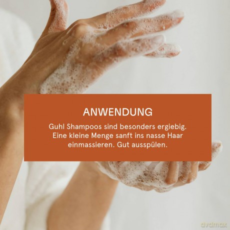 GUHL INTENSIV KRFTIGUNG Shampoo 250 ml