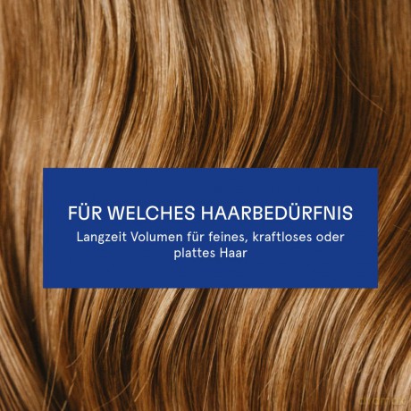 GUHL LANGZEIT VOLUMEN Shampoo 250 ml