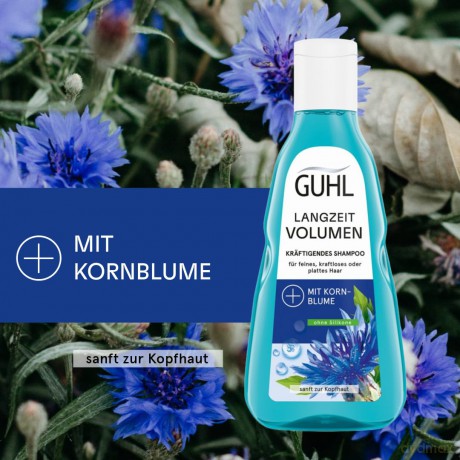 GUHL LANGZEIT VOLUMEN Shampoo 250 ml