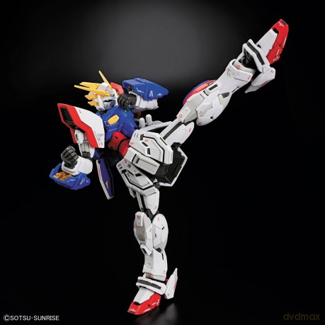 GUNDAM - RG 1/44 Shining Gundam - Model
