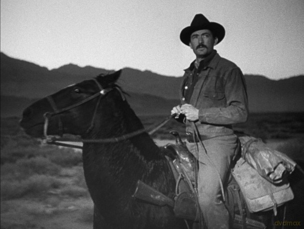 Gunfighter, The [Blu-Ray]