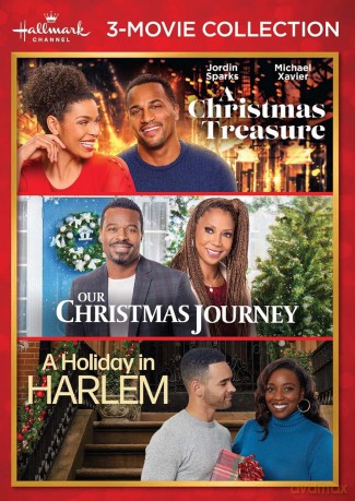 Hallmark 3-Movie Collection: A Christmas Treasure [DVD]