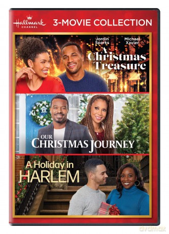 Hallmark 3-Movie Collection: A Christmas Treasure [DVD]