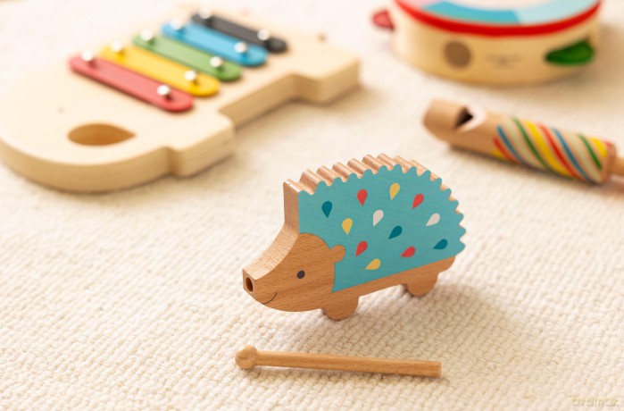 Happy Hedgehog Percussion Instrument CDU of 10 [KSIĄŻKA]
