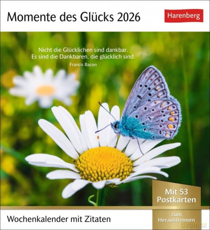 Harenberg: Harenberg Postkartenkalender Momente des
