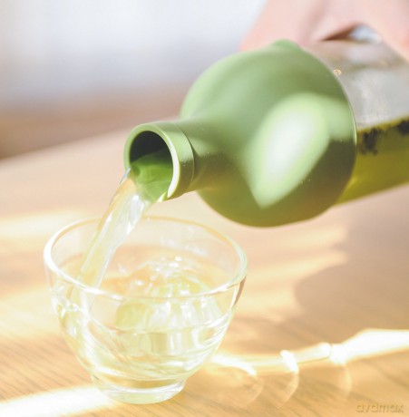 Hario Cold-Brew Filterflasche olivgrźn