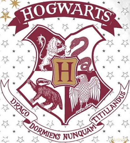 HARRY POTTER - Duvet Cover 140X200cm - H