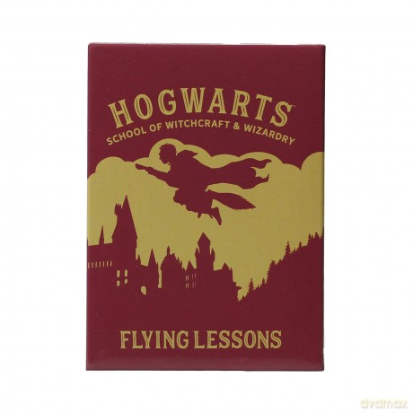 HARRY POTTER - Flying Lessons - Magnet
