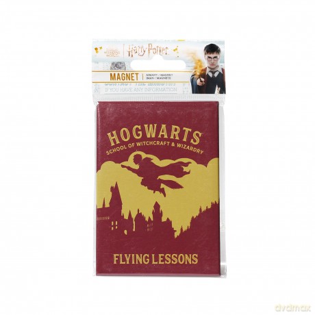 HARRY POTTER - Flying Lessons - Magnet