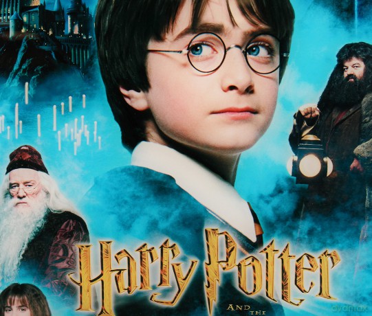 P.Derive: HARRY POTTER - GLASS PRINT - Philosopher