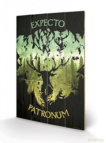 HARRY POTTER - Impression sur Bois 40X59