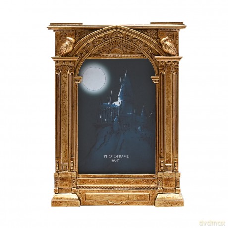 HARRY POTTER - Mirror of Erised - 3D Pho