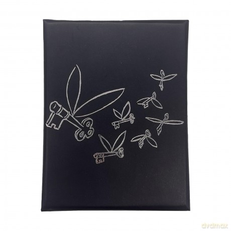 HARRY POTTER - The Flying Key - Limited