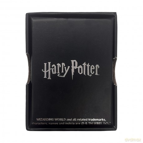 HARRY POTTER - The Flying Key - Limited