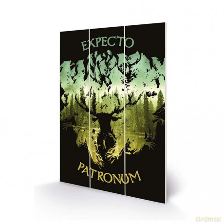 Wood Poster: HARRY POTTER - Wood Print 20x29.5 - Expe