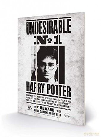 P.Derive: HARRY POTTER - Wood Print 20x29.5 - Unde
