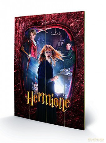 Wood Poster: HARRY POTTER - Wood Print 40x59cm - Herm