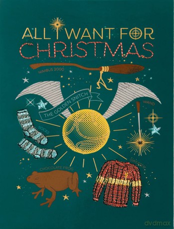 Harry Potter All I Want For Christmas Embellished Card [KSIĄŻKA]