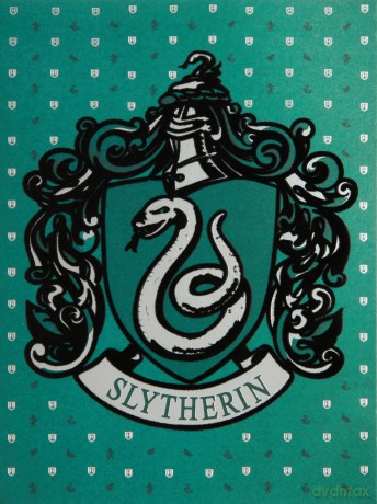Harry Potter Slytherin Embellished Card [KSIĄŻKA]