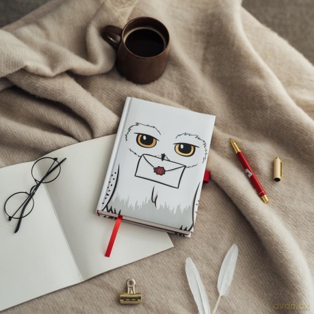 Harry Potter: Erik - Hedwige (Quaderno Premium A5 Con Penna)