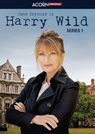 Harry Wild: Series 1 [3DVD]