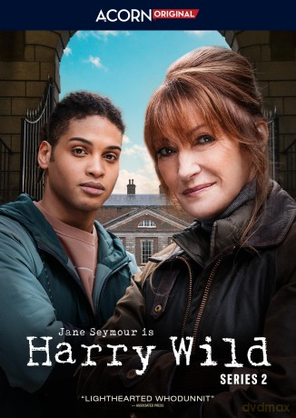 Harry Wild: Series 2 [2DVD]