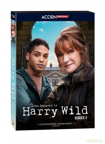 Harry Wild: Series 2 [2DVD]