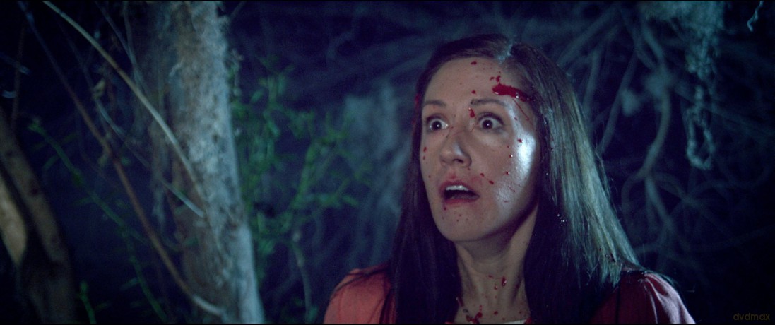 Hatchet-Victor Crowley [DVD]