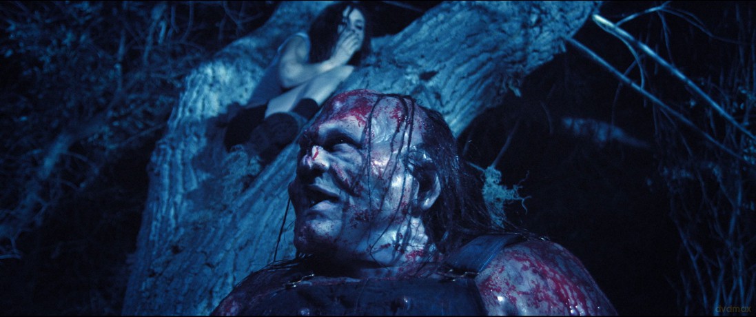 Hatchet-Victor Crowley [Blu-Ray]