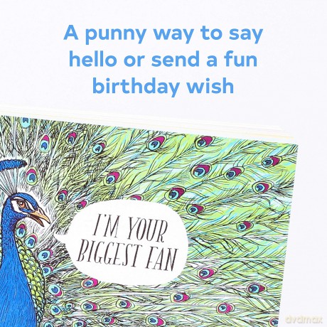 Have a Little Pun 30 Postcards [KSIĄŻKA]