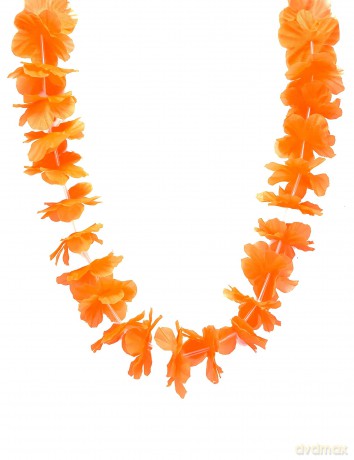 Hawaii Krans Oranje