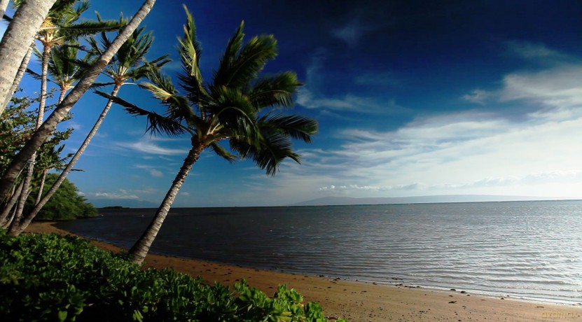 Hawaii-Inside Paradise [2DVD]