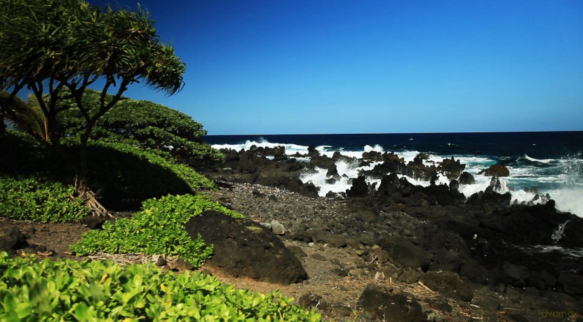 Hawaii-Inside Paradise [2DVD]