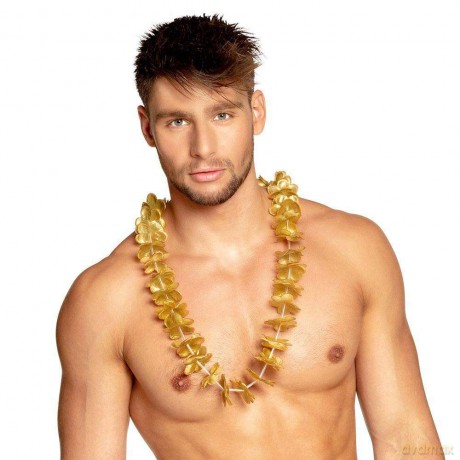 Hawaikransen Goud 20st.