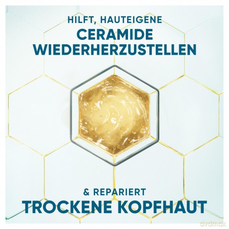 head&shoulders DERMAXPRO BERUHIGEND Sha